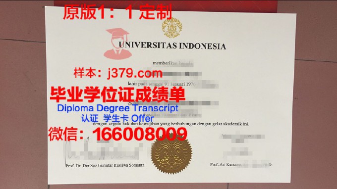 印度尼西亚普瑞玛大学证书成绩单(印度尼西亚prima大学)