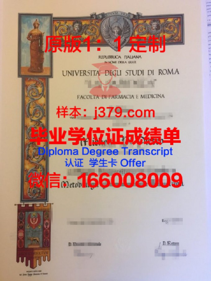 罗马第三大学毕业证好找工作吗(意大利罗马第三大学怎么样)