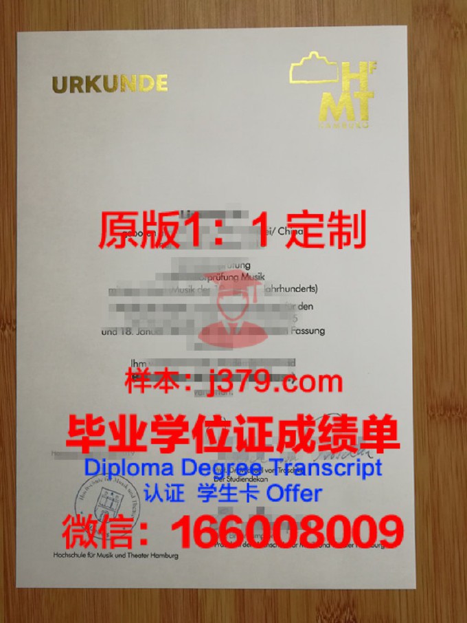 克卢日·纳波卡格奥尔基·迪马国家音乐学院毕业证高清图