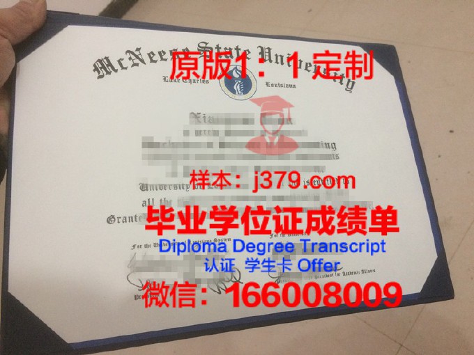 博伊西州立大学diploma证书(博伊西州立大学咋样)