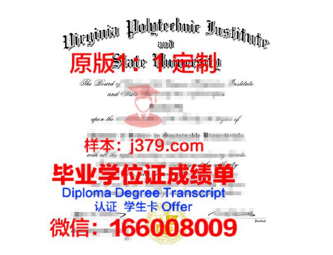 代尔夫特理工大学diploma证书(代尔夫特理工大学alevel要求)