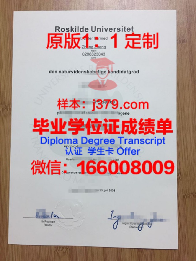 丹麦技术大学diploma证书(丹麦技术大学国内认可度)