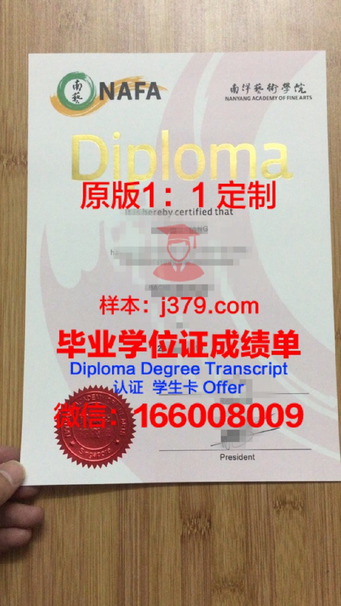 ICS艺术学院专门学校diploma证书(ics专业)