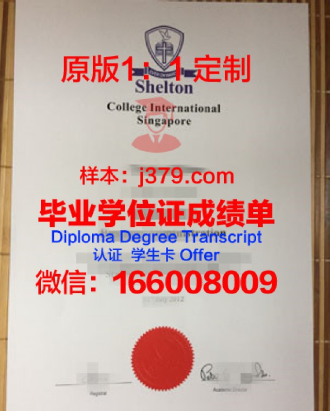 Excelia商学院diploma证书(商学院认证aacsb)