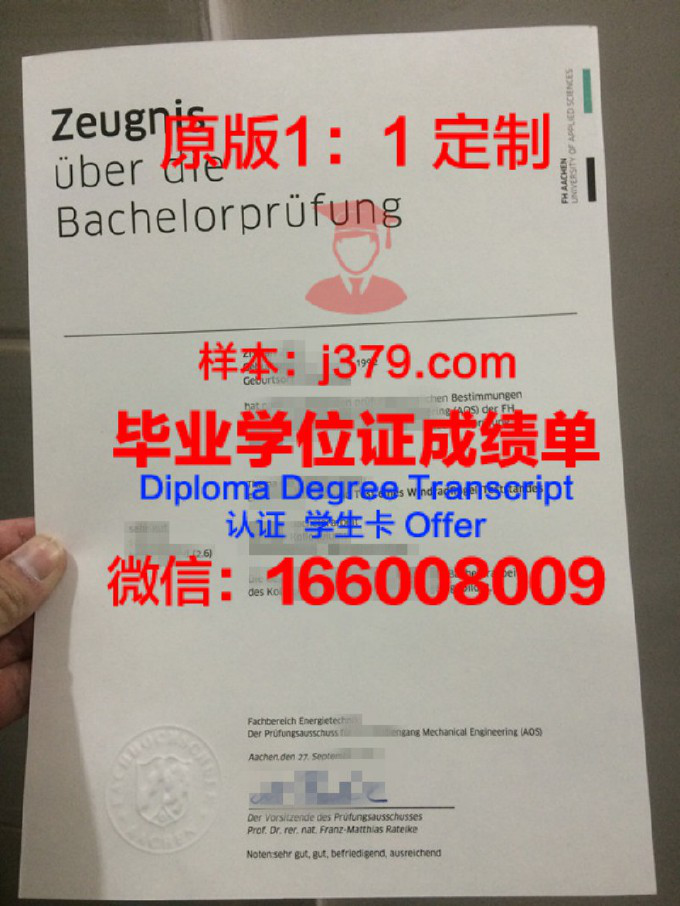 阿纳姆恩斯赫德与兹沃勒艺术大学成绩单