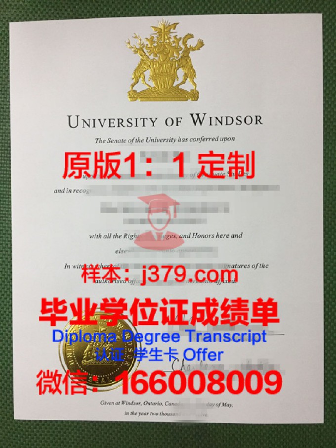 温莎大学毕业证长什么样(温莎大学证书)