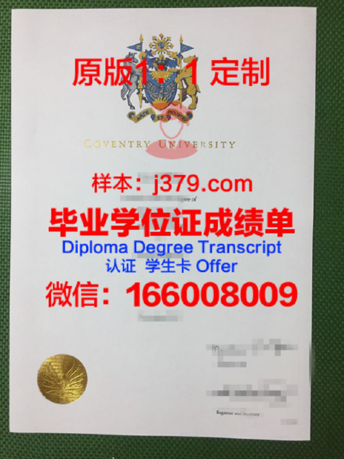 定制你的未来——于默奥大学录取通知书OFFER