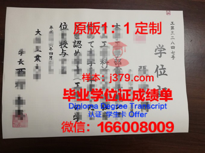 定制你的未来——大阪经济大学录取通知书 OFFER 定制