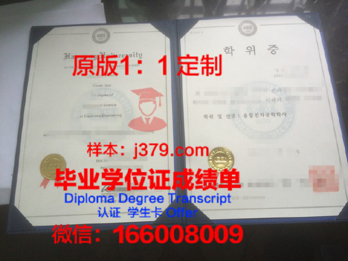 ΕΜΠ (EMP)博士学位证：通往学术巅峰的通行证