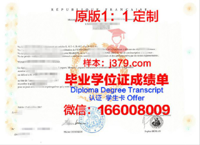 斯特拉斯堡大学斯特拉斯堡电信与物理学院学位证定制：彰显学术权威与品质保证