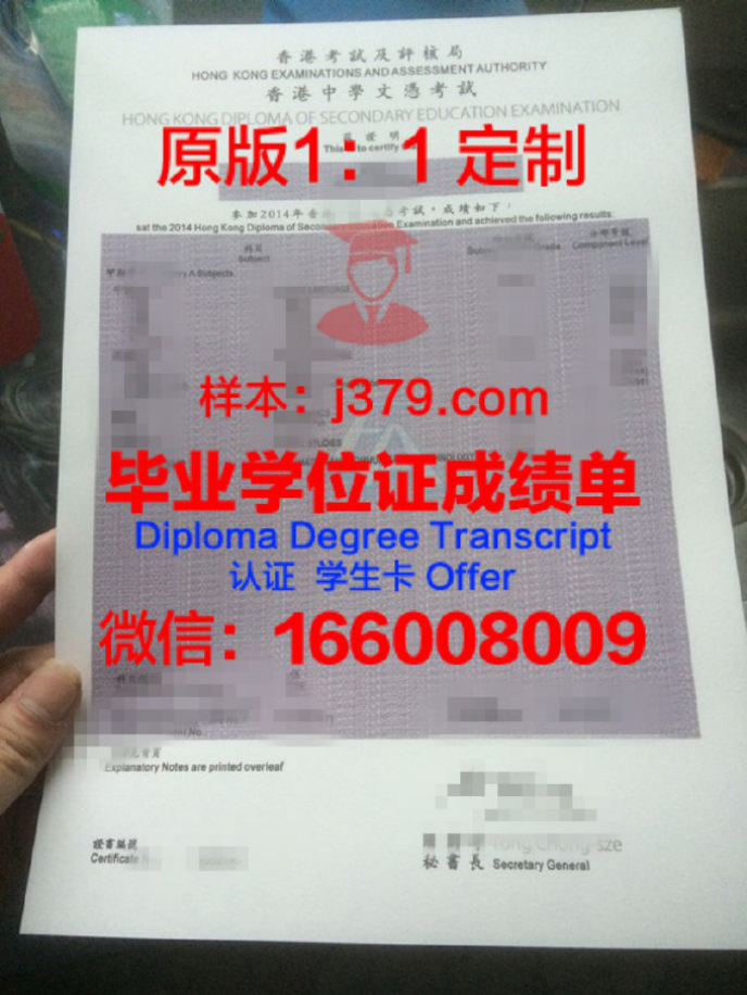 俄罗斯联邦总统国民经济和国务学院学位文凭定制——迈向国际精英教育的桥梁